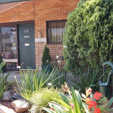 Ningana Motel Mudgee Zewnętrze zdjęcie