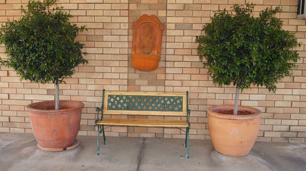 Ningana Motel Mudgee Zewnętrze zdjęcie