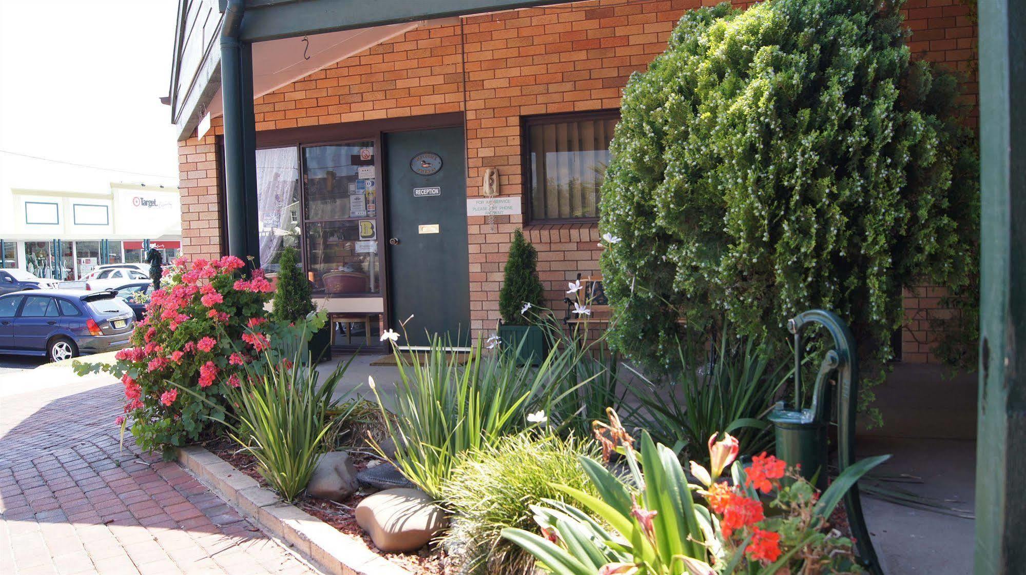 Ningana Motel Mudgee Zewnętrze zdjęcie